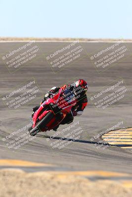 media/Jan-13-2024-SoCal Trackdays (Sat) [[9c032fe5aa]]/Bowl Exit Set 2 (1135am)/